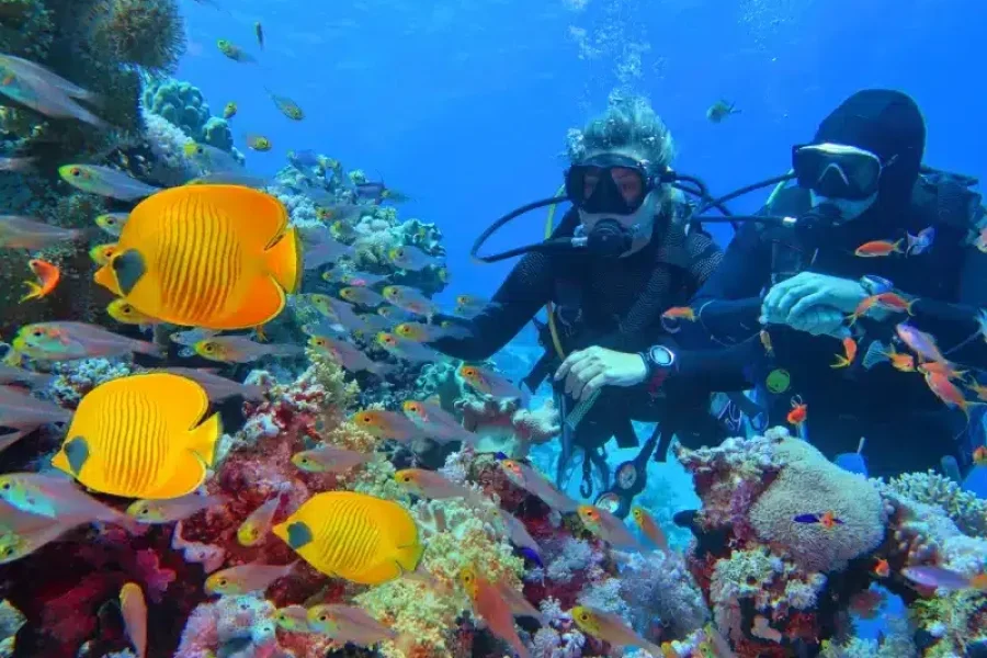 El Quseir'den Sha'ab Samadai'de (Yunus Evi) Dalış Turu
