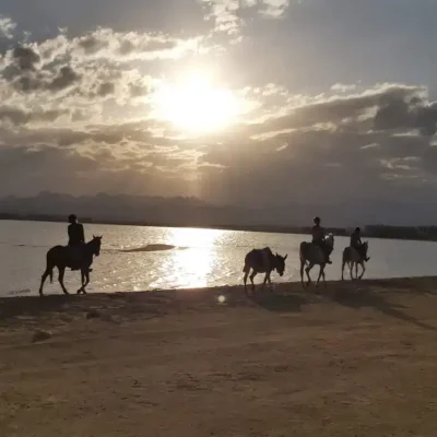 Horse Riding from Soma Bay