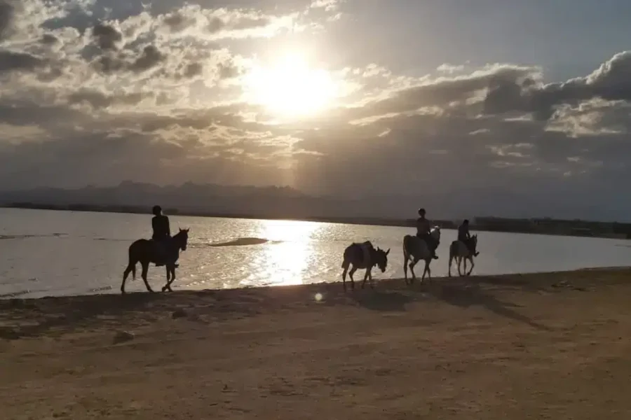 Horse Riding Soma Bay