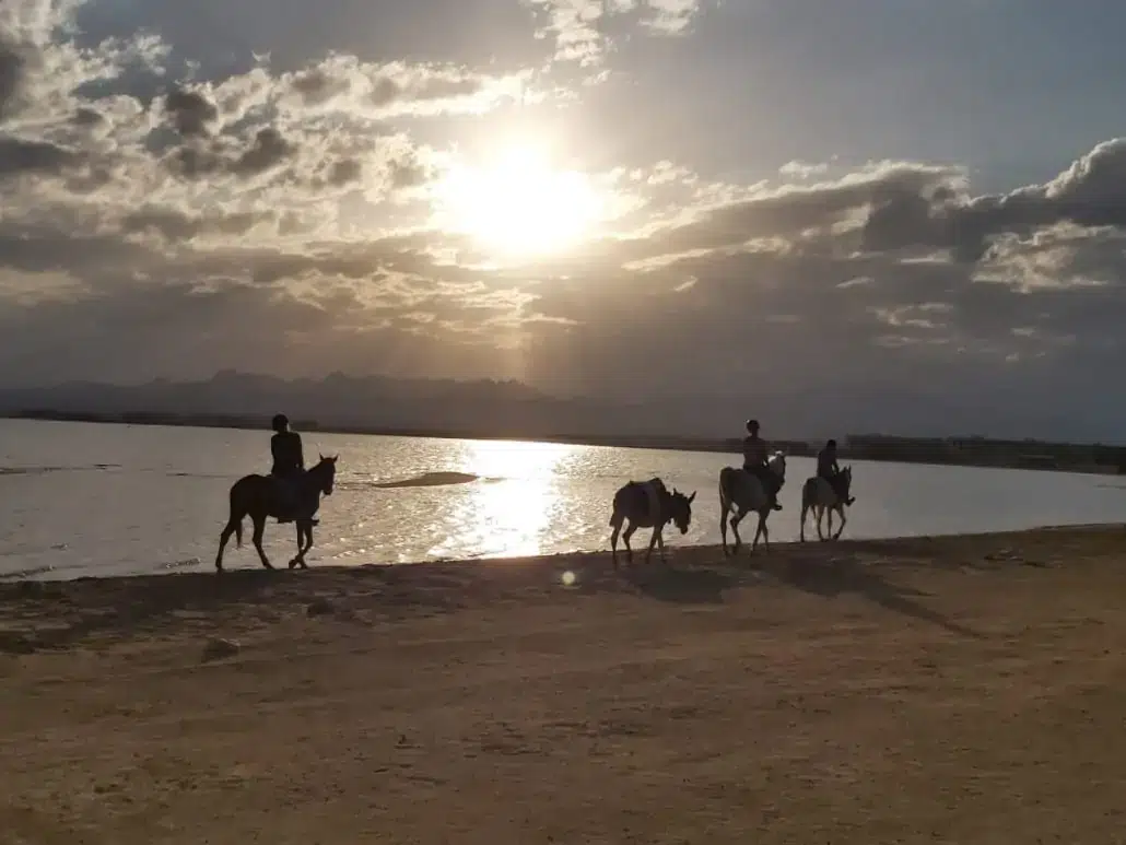 Horse Riding Soma Bay