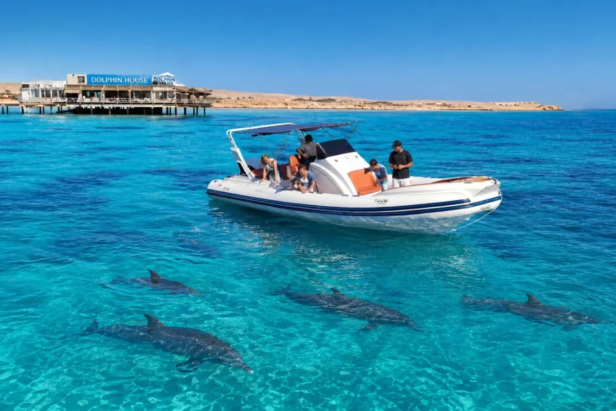 Speedboat Hurghada to Dolphin House from Soma Bay