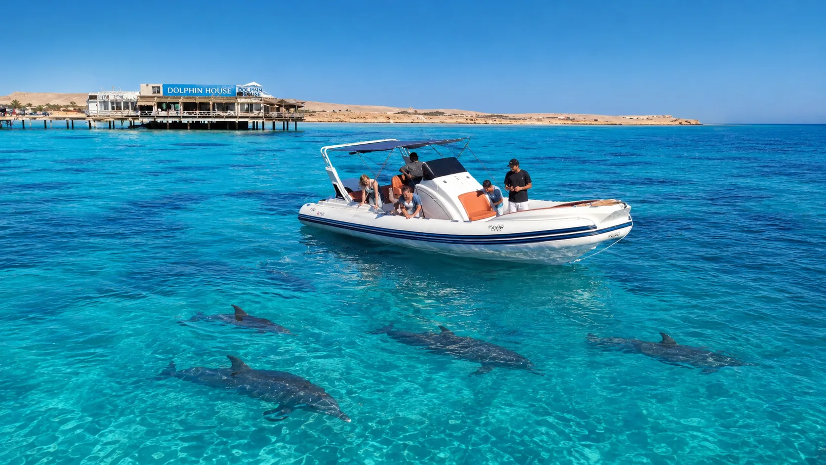 Speedboat Hurghada to Dolphin House from Soma Bay