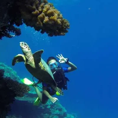 Snorkeling Trips from El Quseir