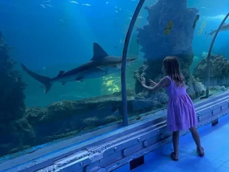 Hurghada Grand Aquarium z Sahl Hasheesh | Rodzinna Wycieczka i Świat Morza Czerwonego