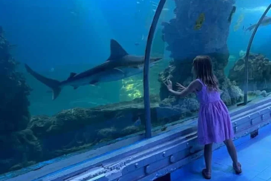 Grand Aquarium from El Gouna