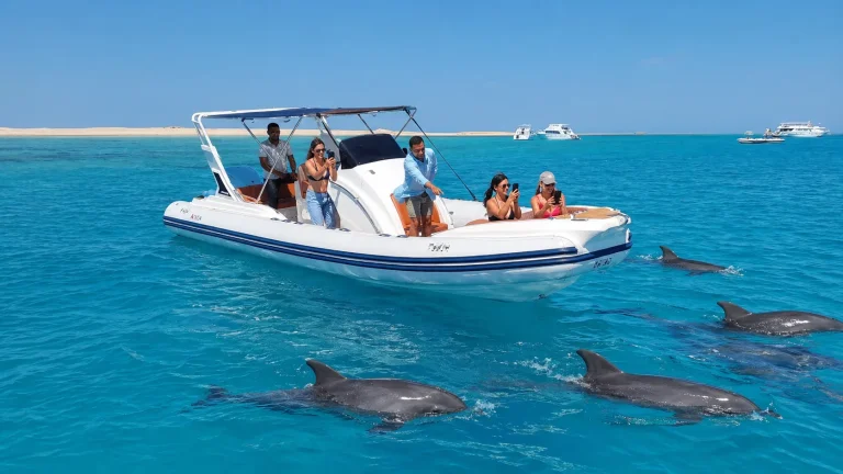 Приватний катер до Dolphin House з Ель-Гуни | Дельфіни та снорклінг