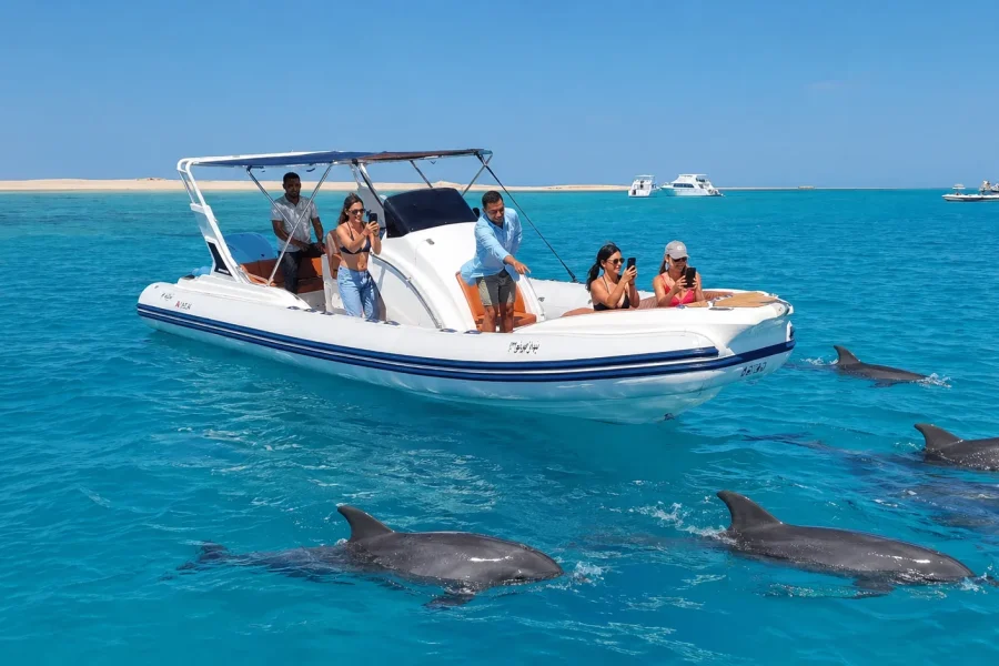 катер до Dolphin House з Ель-Гуни