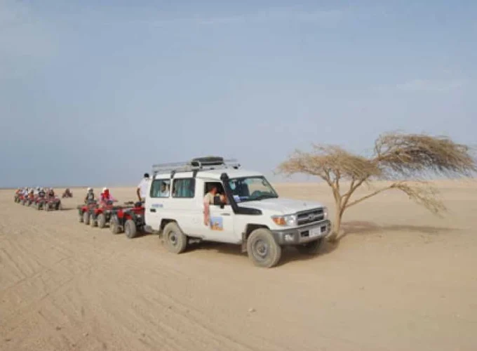 Matin Super Safari Voyage de El Gouna