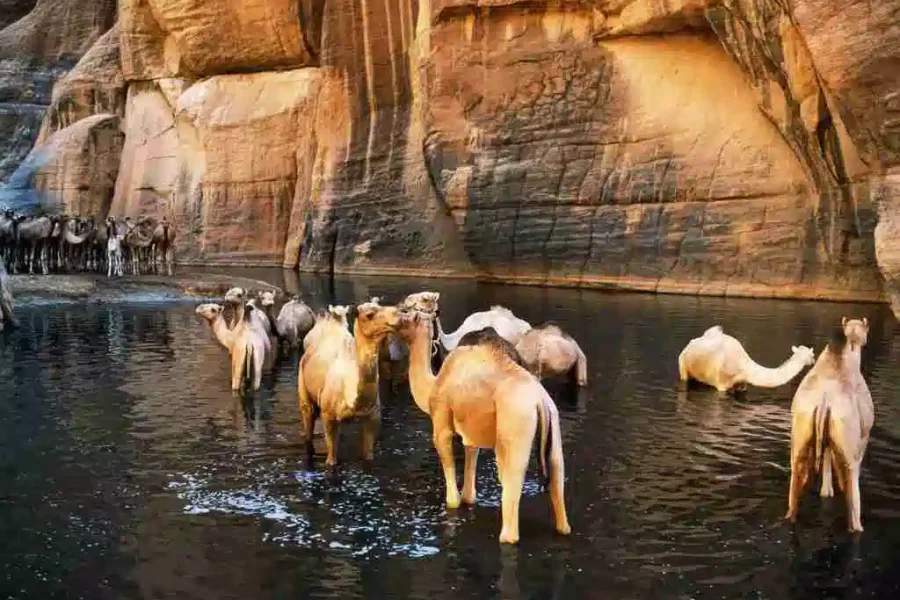 Wadi El Gem al Port Ghalib’den – Çöl Macerası ve Bedevi Deneyimi