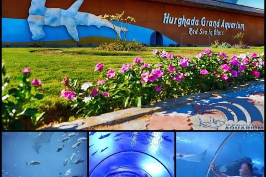 Hurghada Grand Aquarium iz El Goune