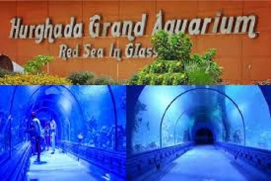 Hurghada Grand Aquarium vanuit El Gouna