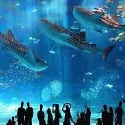Family-Friendly Tours from Sahl Hasheesh