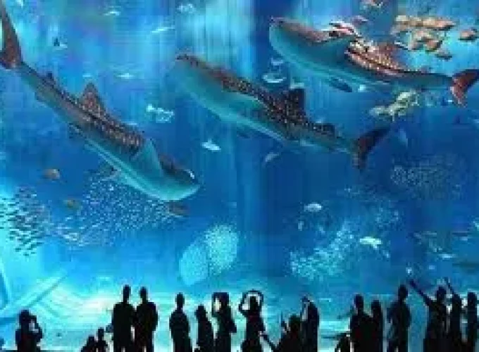 Hurghada Grand Aquarium Výlet od Sahl Hasheesh