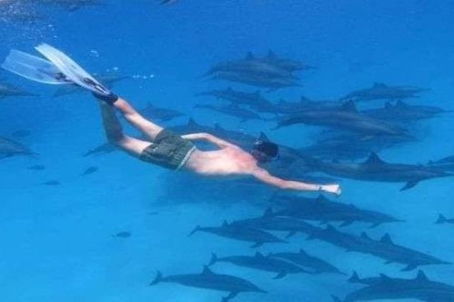 Dolphin House vanuit El Gouna