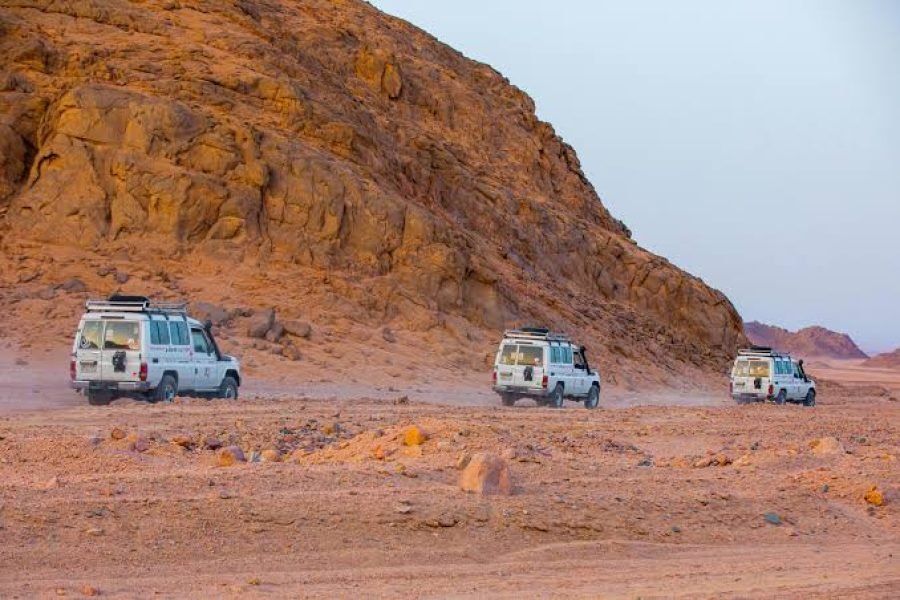 El Gouna Desert Safari