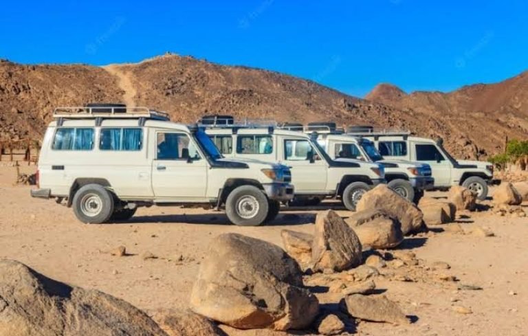 El Gouna sivatagi szafari – Quad, Buggy, Tevegelés és Beduin Vacsora