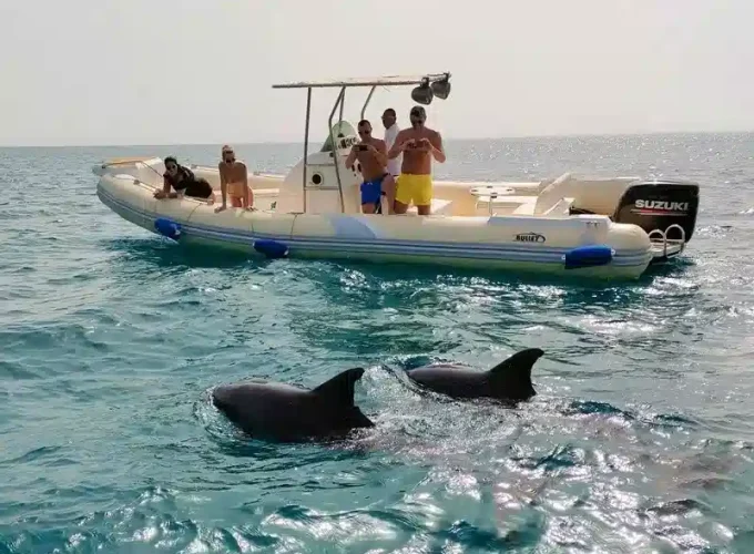 Soma Körfezi'nden Yunus Evi'ne Özel Sürat Teknesi Gezisi