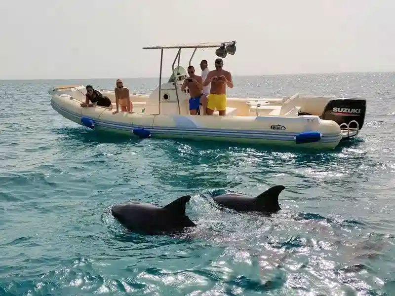 Privát Motorcsónak Kirándulás Delfin Ház a Soma Bay