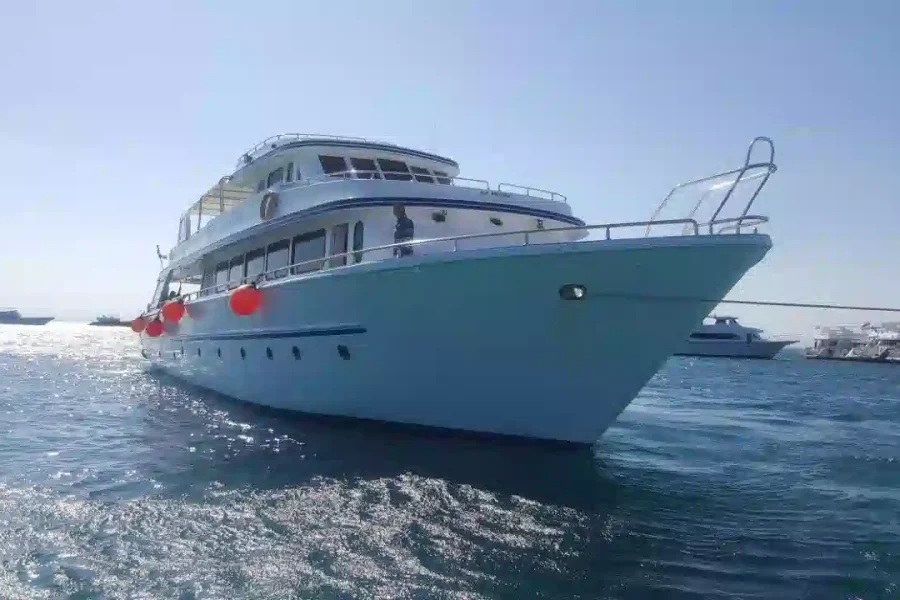 One-Day Trip Mahmya Island Booking