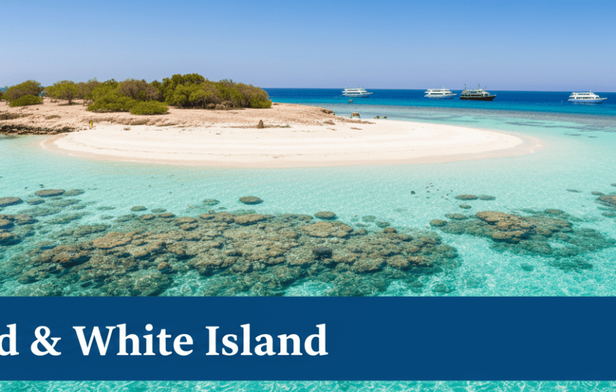 Ras Mohammed & White Island Luxury Yacht Cruise from Sharm El Sheikh
