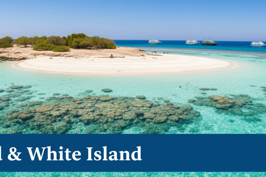 Ras Mohammed & White Island