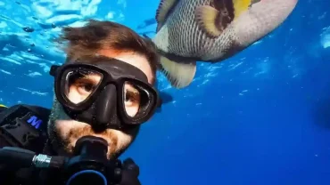 Diving & Snorkeling in Sharm El Sheikh 2026