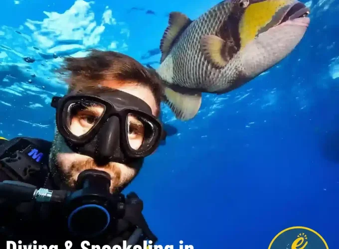 Diving & Snorkeling in Sharm El Sheikh 2026