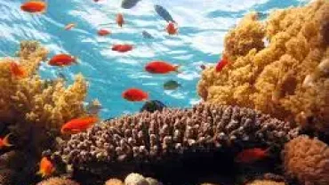 hurghada egypt things to do