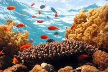 hurghada egypt things to do