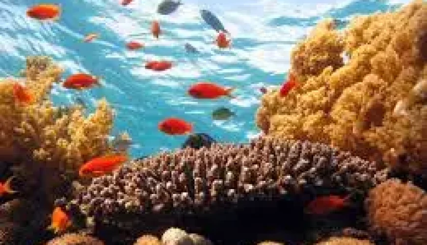 hurghada egypt things to do