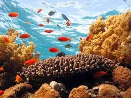 hurghada egypt things to do