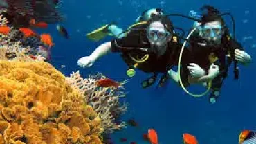 Red Sea Diving Excursions