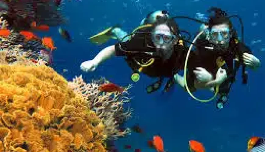 Red Sea Diving Excursions