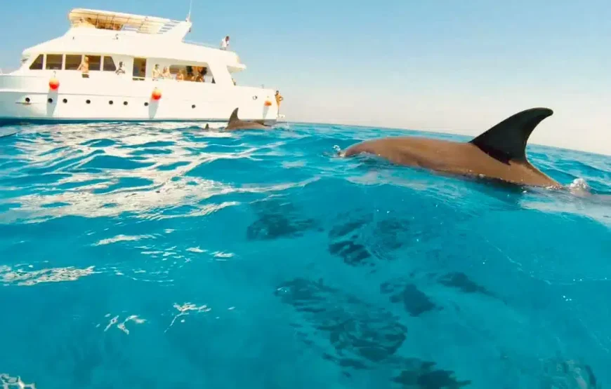 Hurghada Schnorcheln – Private Hurghada Bootstour