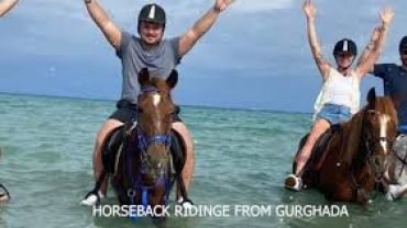 Hurgada Ata Binme Turları | Özel Atlı Safari & Kızıldeniz Deneyimi