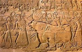 Archaeological Depictions of the Opet Festival