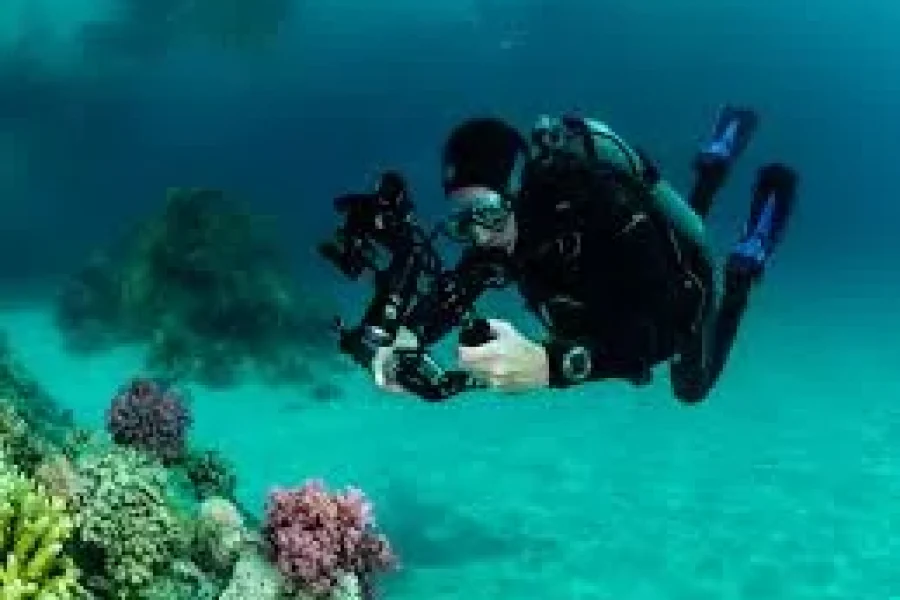 Curso PADI Open Water em Marsa Alam | Certificação Oficial de Mergulho no Mar Vermelho