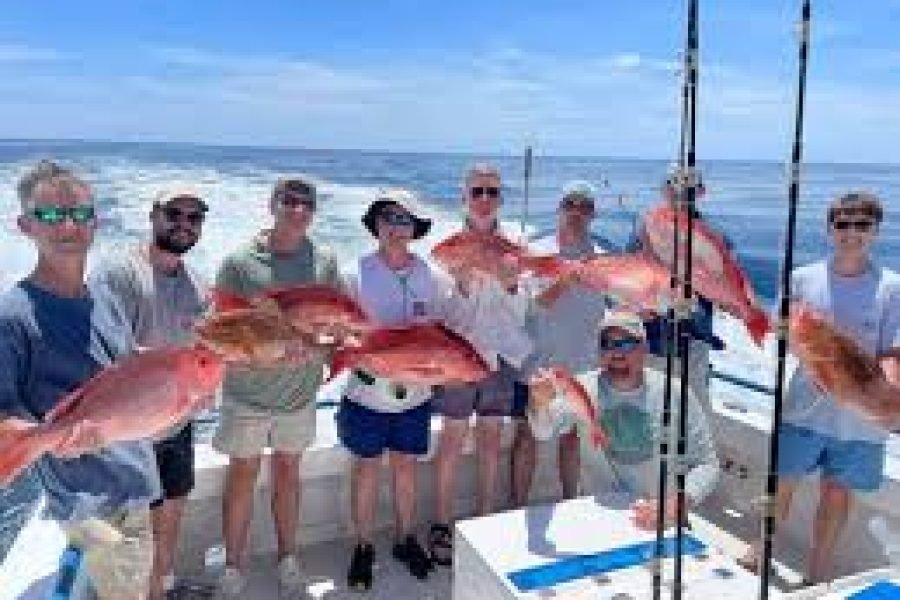 Fishing Trip in the Red Sea