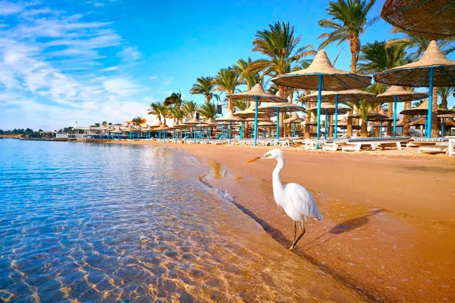 Hurghada ajánlatok