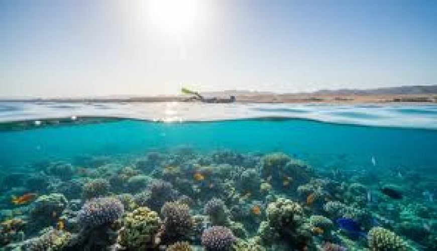 atrakcje dla dzieci w Egipcie