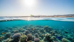 atrakcje dla dzieci w Egipcie