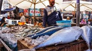 alexandria Anfushi Neighbourhood & Fish Market