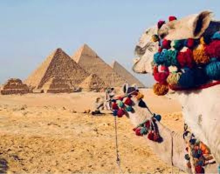 Wycieczka do Kairu z Sahl Hasheesh autobusem | Piramidy i Muzeum Egipskie