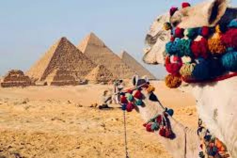 Jednodniowa wycieczka do Kairu z Sharm El Sheikh samolotem
