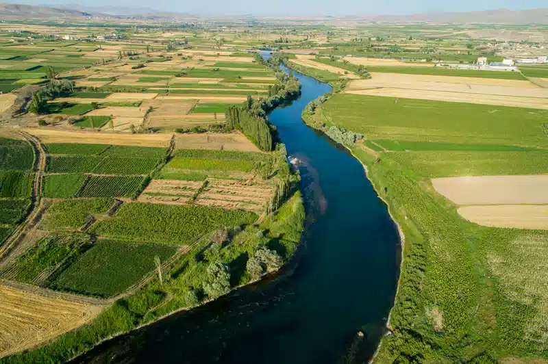 Why the Nile River is Important to Ancient Egypt: Fertile Soil and Agriculture