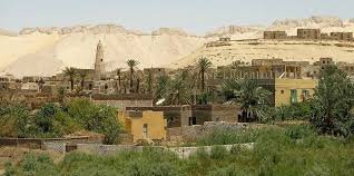 Dakhla Oasis Egypt