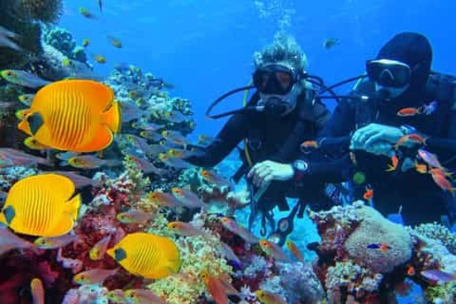 Orange Bay Hurghada kirándulás búvárkodással és sznorkelezéssel