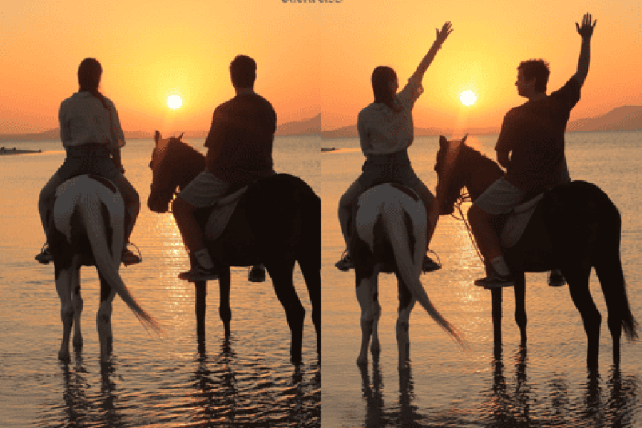 Horse Riding in Dahab