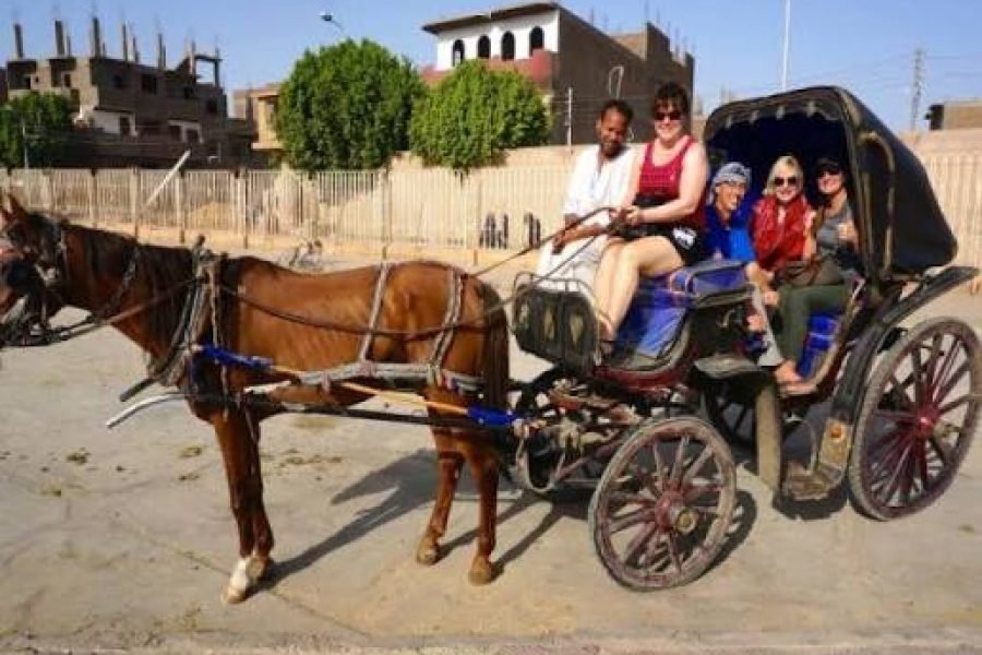 Luxor City Tour by Horse Carriage