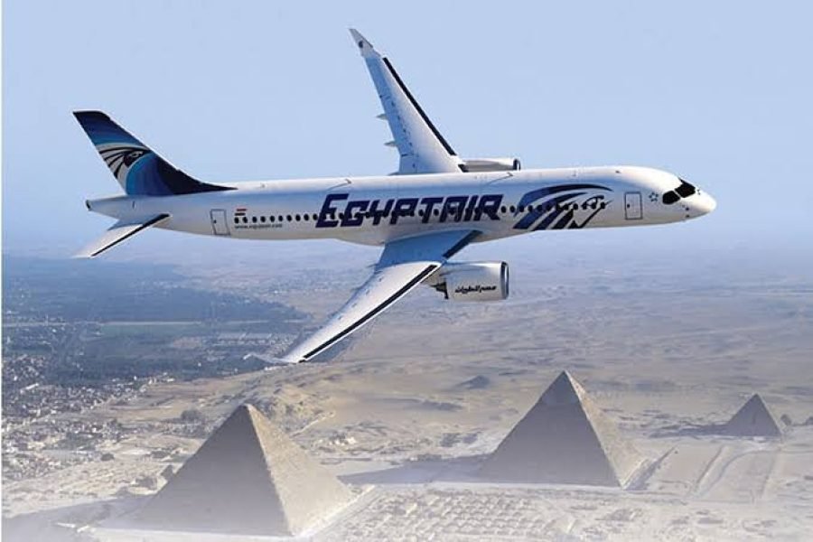 Aswan to Cairo Day Tour by Plane